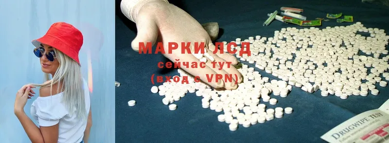 ЛСД экстази ecstasy  Курлово 